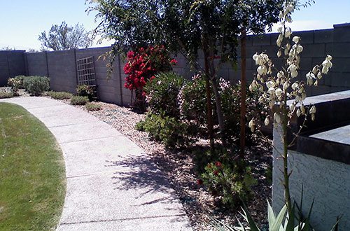 A walkway with plants and flowers in the background.