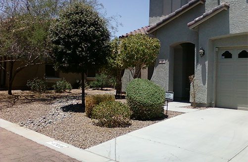 A small garden with bushes and trees in front of the house.